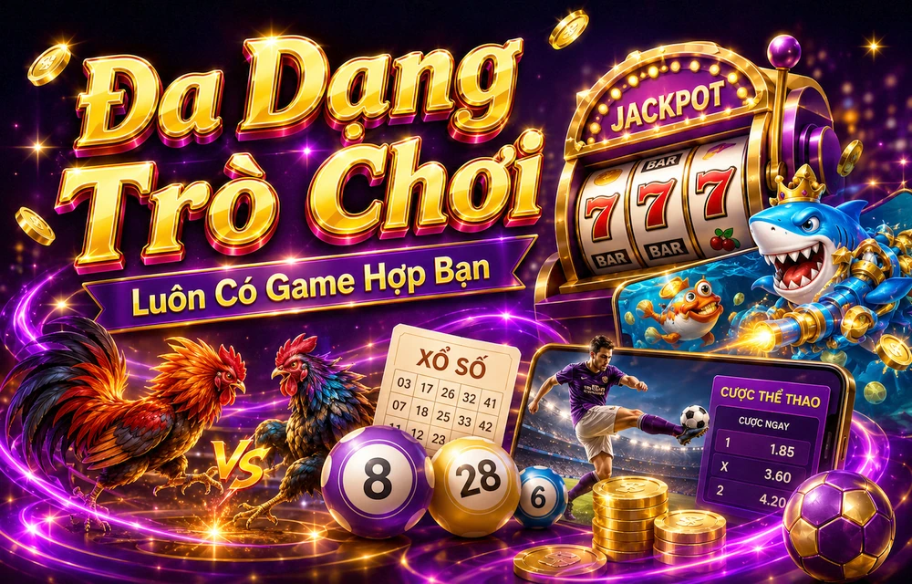 Hỏi đáp thực tế về Kiểm tra đường dẫn dành cho người mới